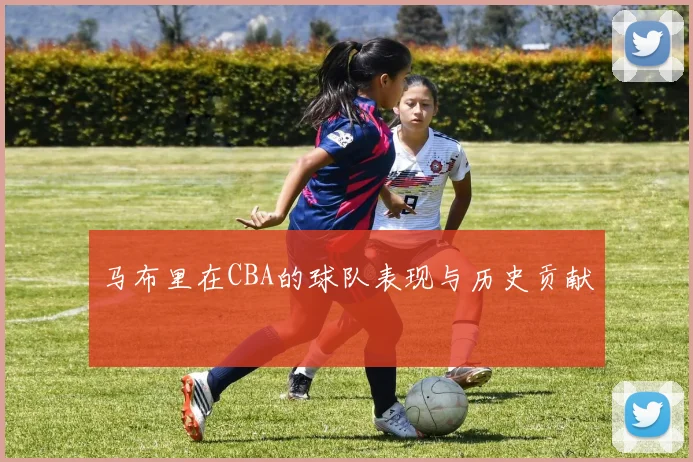 马布里在CBA的球队表现与历史贡献