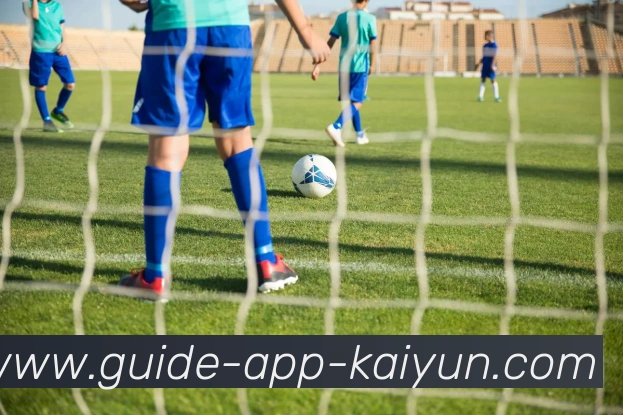 开云app平台生态图