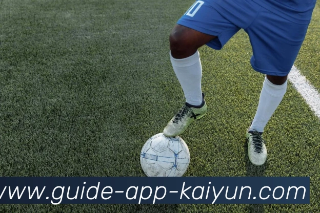 开云appAPP 封面图